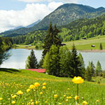 Geroldsee - Wagenbrchsee