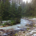 Reintal